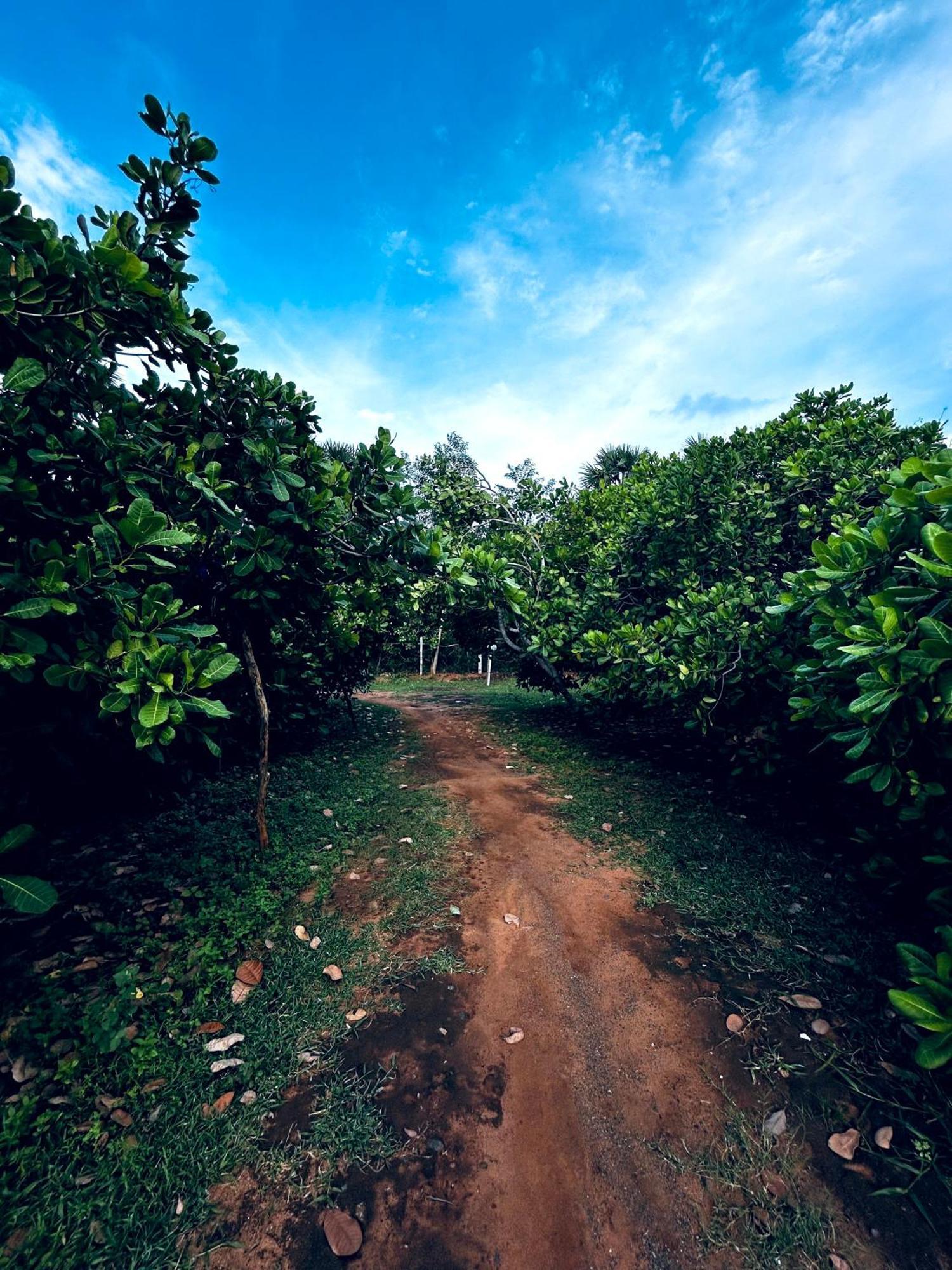 Boomerang Community Auroville Exterior foto