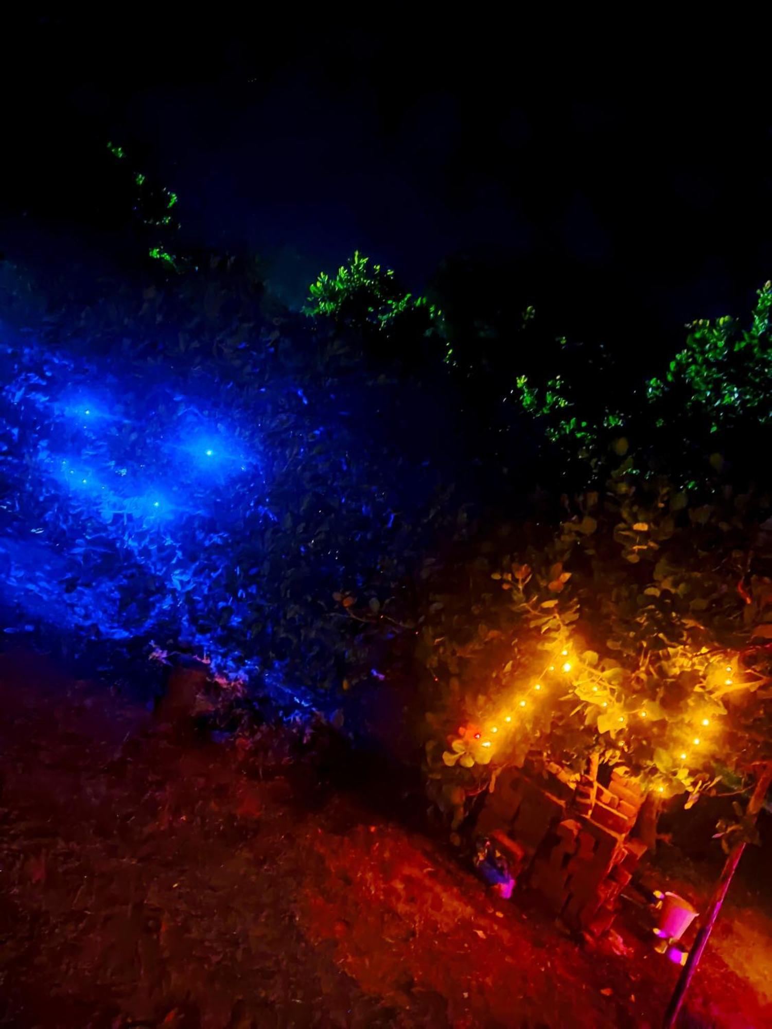 Boomerang Community Auroville Exterior foto