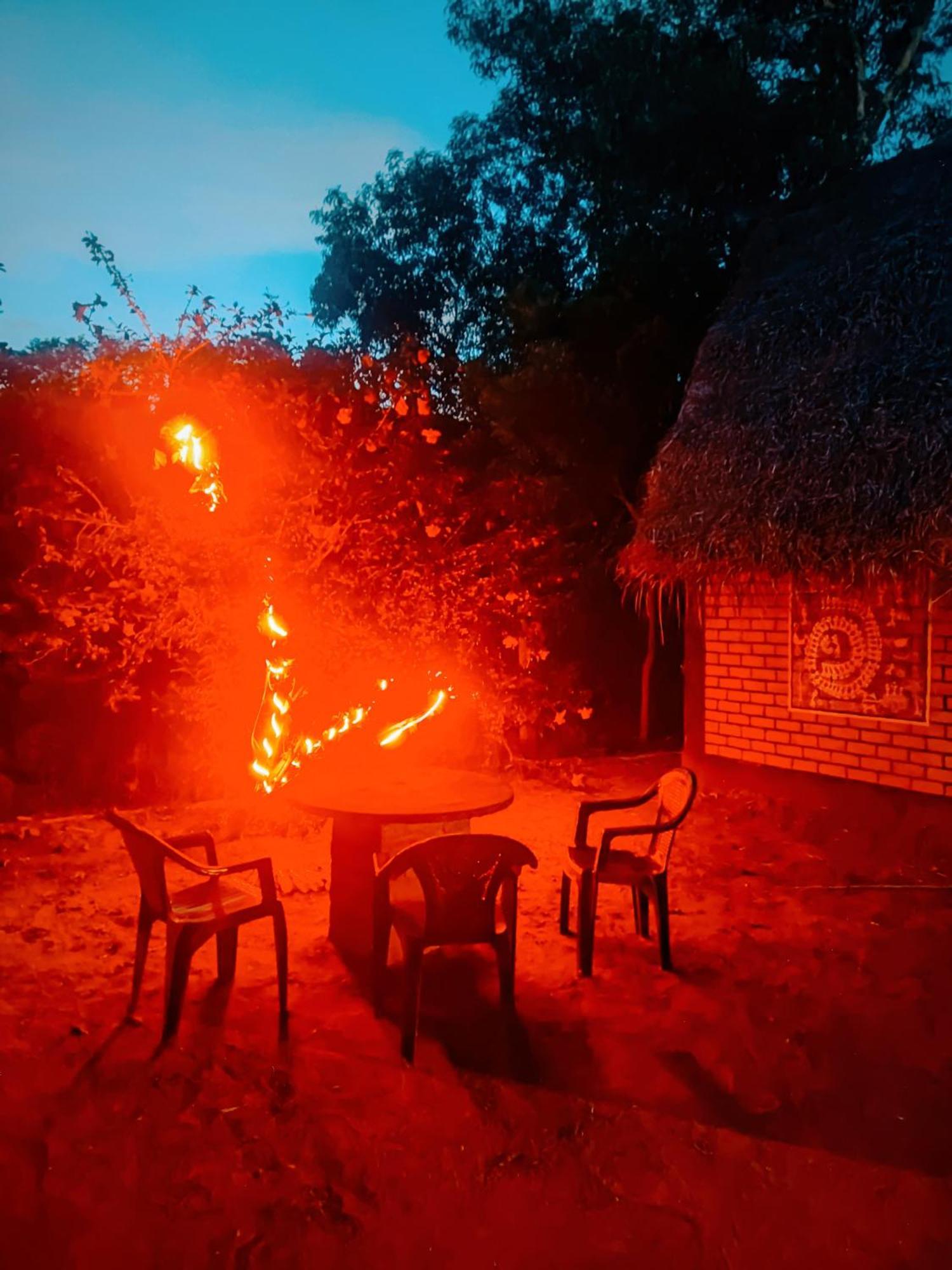 Boomerang Community Auroville Exterior foto